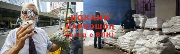 твердый Алзамай